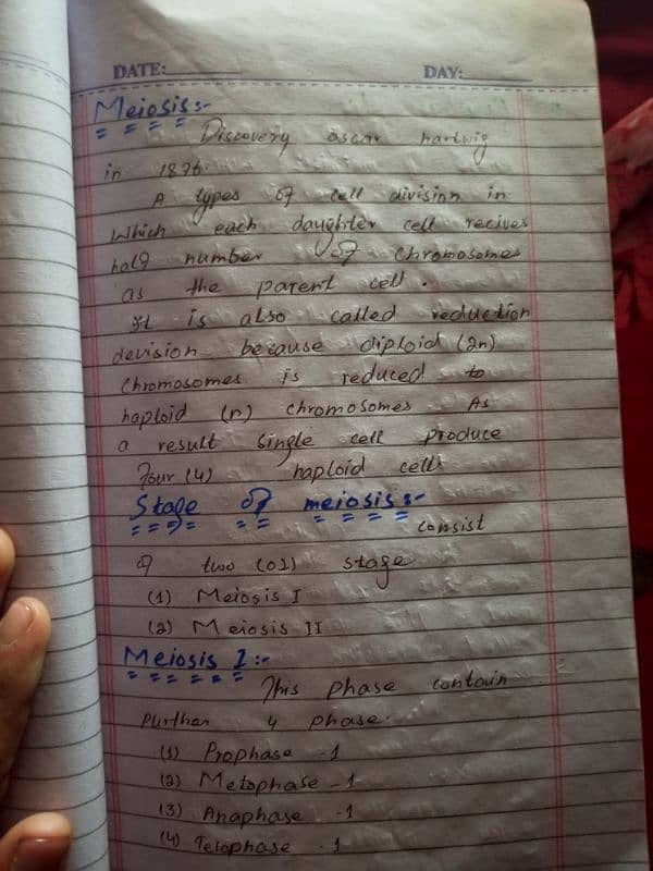 CONTANT WRITING 6