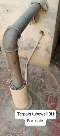 Terpain tubewell 3H, age 4years