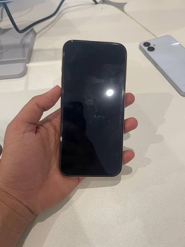 16 Pro Max with 100% Battery health 3