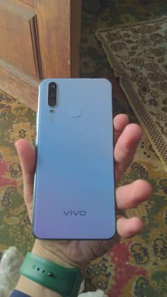vivo