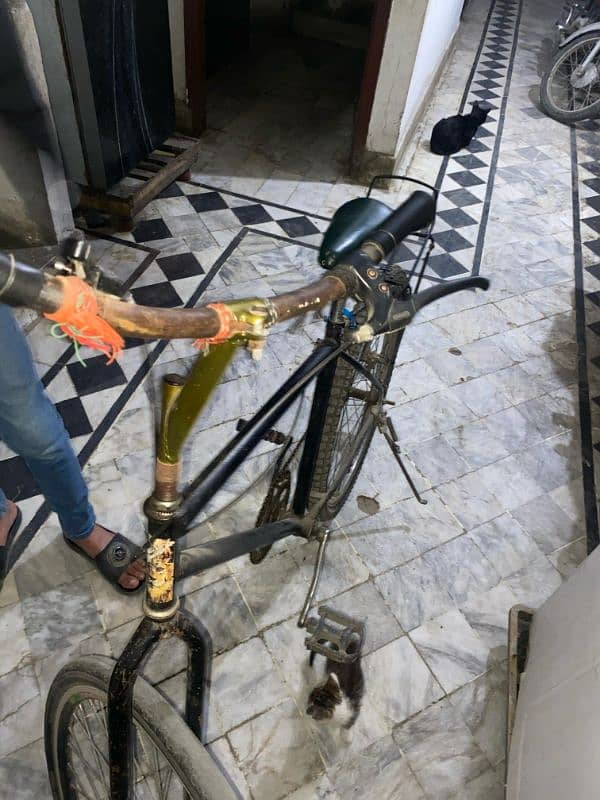 cycle for sell argent 1