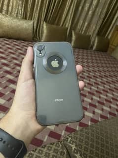 Iphone Xr 10/10 waterpack mint condition