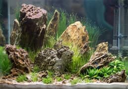 Aquarium