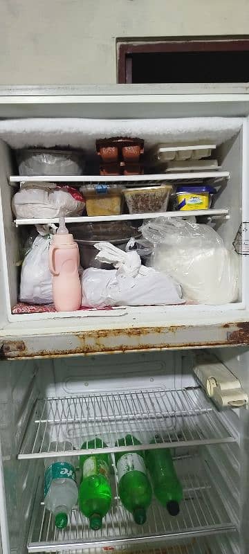 frege for sale coling 100 % ok janian gas janin compresor 5
