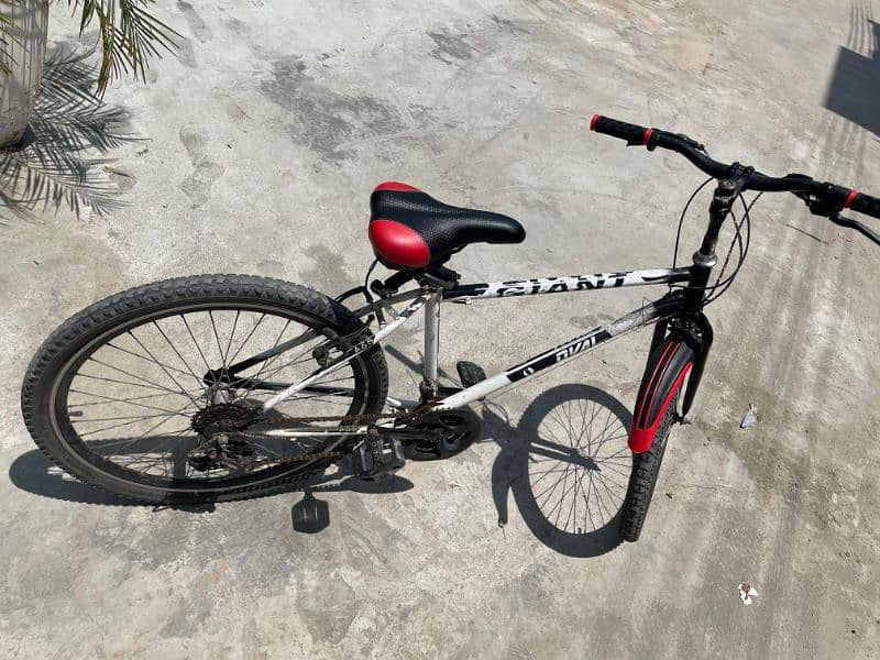26 inch cycle 1