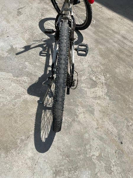 26 inch cycle 5