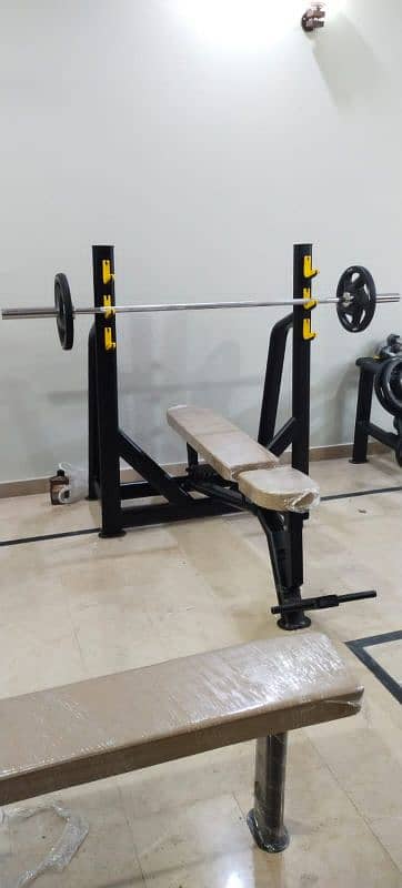 BENCH PRESS / HOME GYM / TREADMILL / DUMBELLS / PLATES /RODS/SPIN BIKE 0