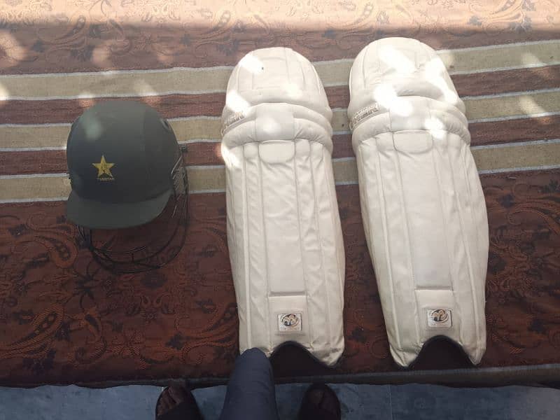 cricket helmet and pads 2