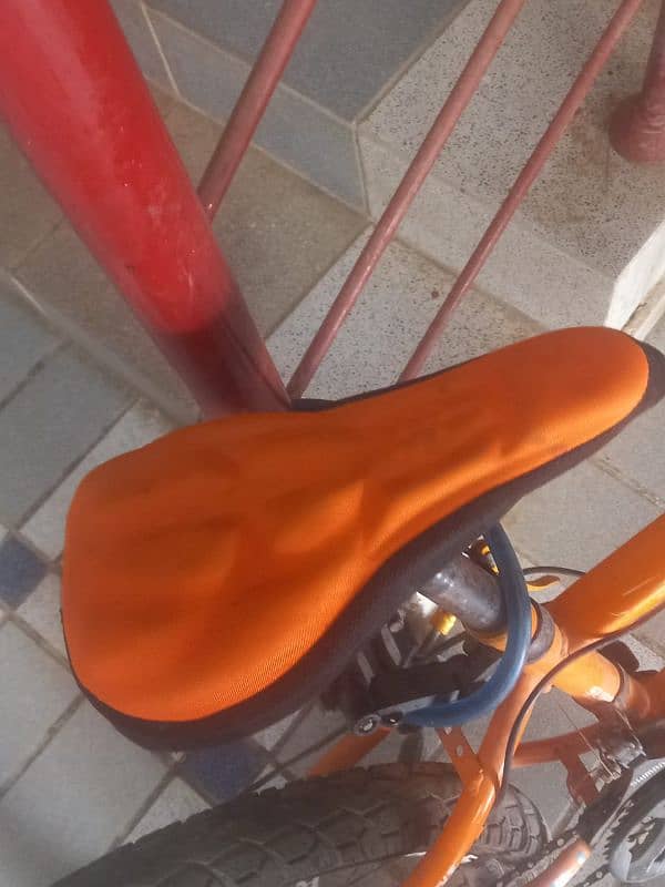 Cycle for Sale!!! 3