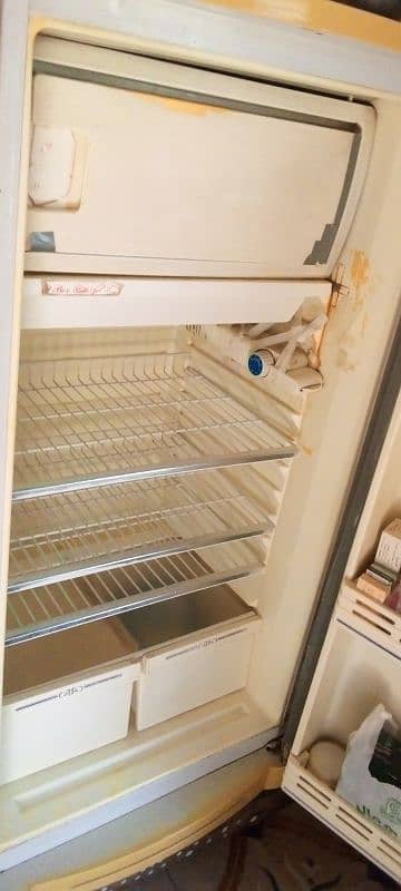 waves fridge 3