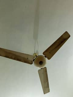 pak fan