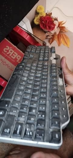 dell keyboard class b