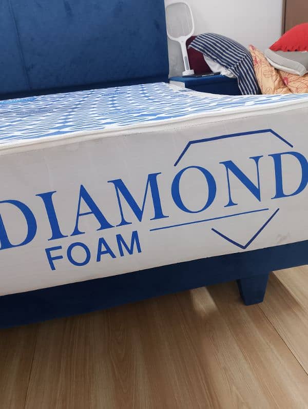 Diamond suprem foam 8" 0