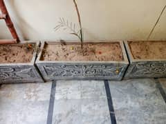 Large  Plants Pots