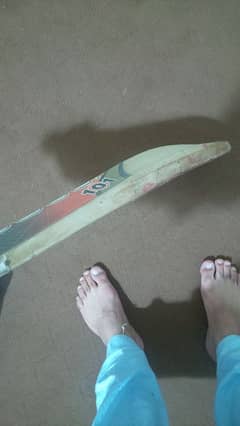 original Bs hard ball bat