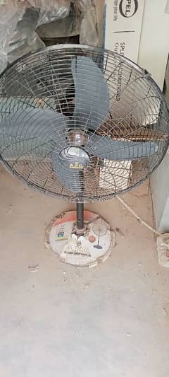 AFC FANS 24"