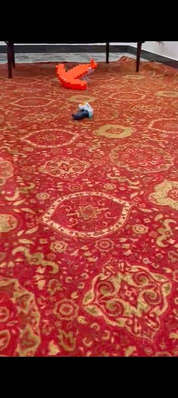 Durable Red Carpet 2