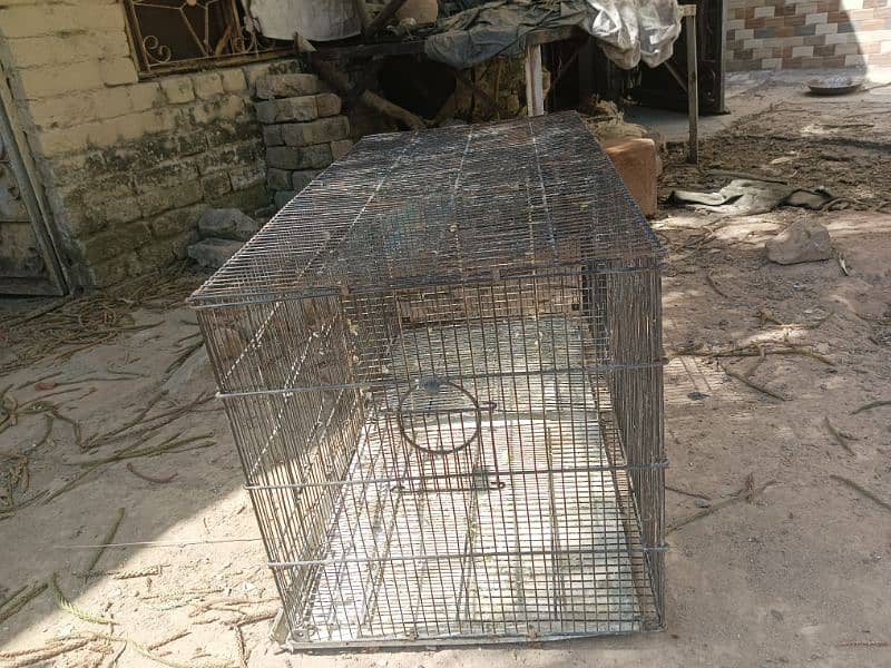 Parrots and birds cage or pinjra 1