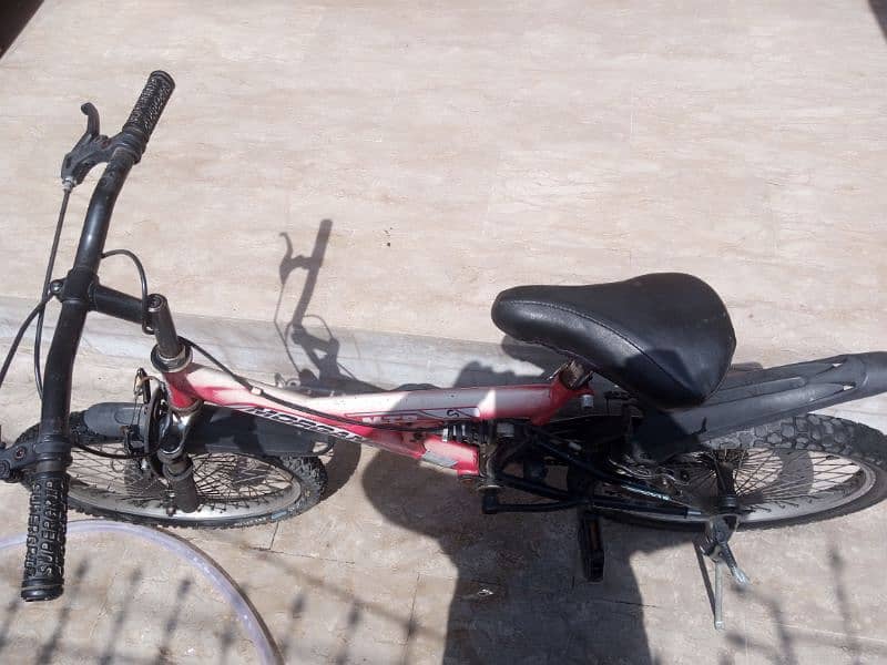 morgan sports bicycle 1