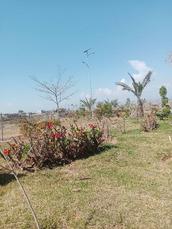 Plot For Sale In DHA Valley 0