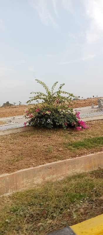 Plot For Sale In DHA Valley 3
