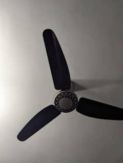 fan