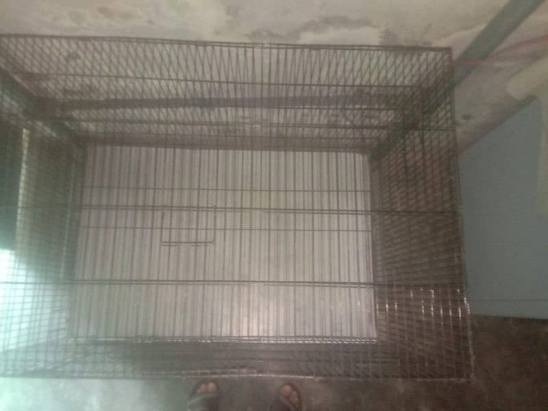 Birds cage for sale. 0