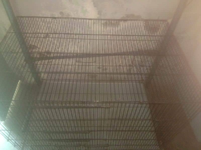 Birds cage for sale. 2