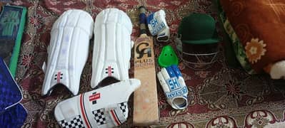 Cricket