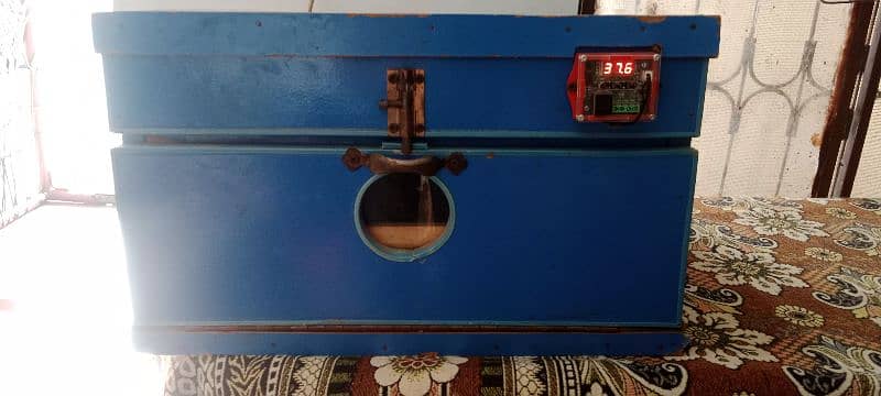 incubator for sale 1