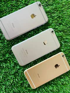 iPhone 6