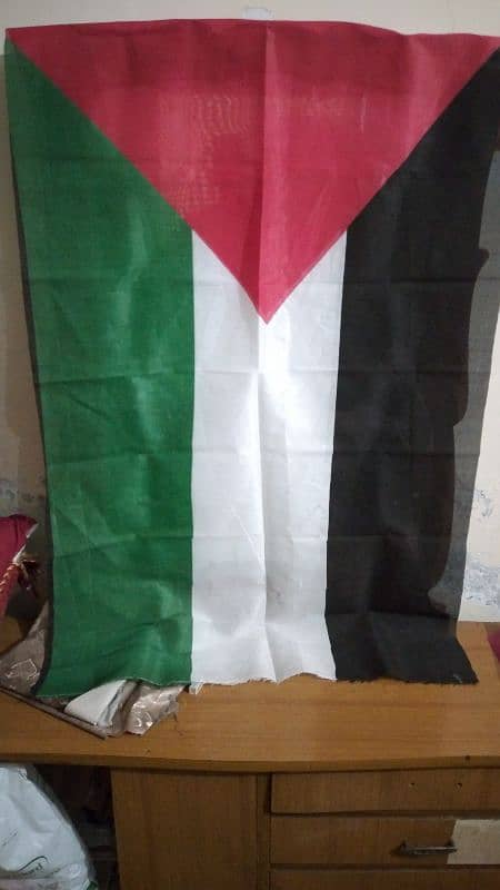 palastine Protest flags set 0