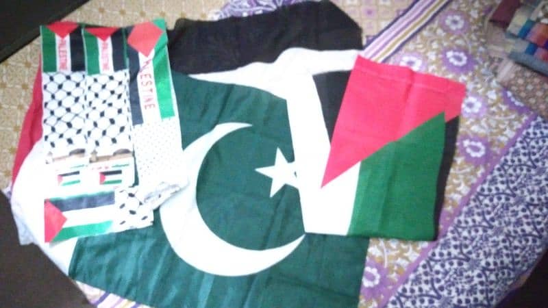 palastine Protest flags set 1