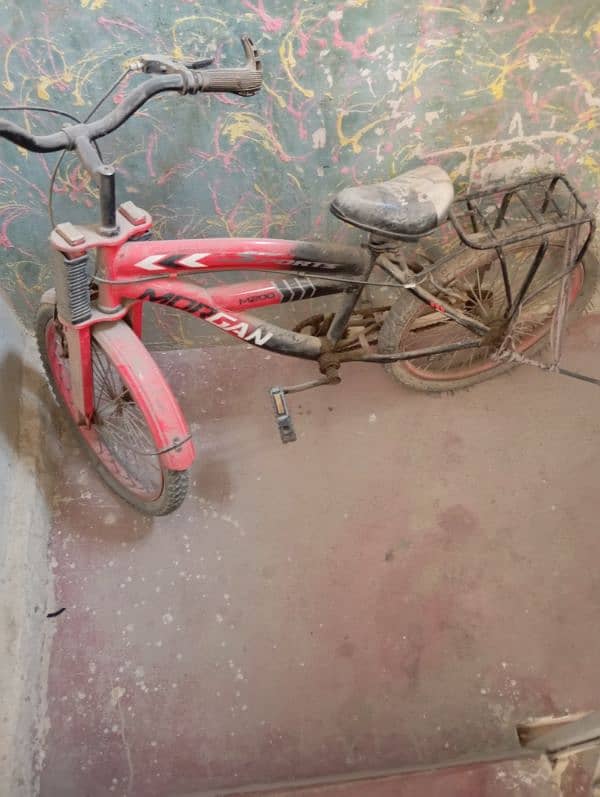 Morgan cycle 10 years kid 0