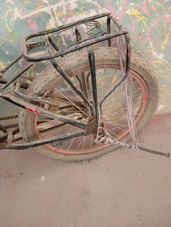 Morgan cycle 10 years kid 1