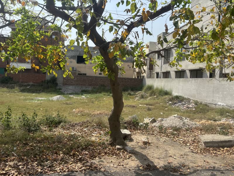 VALENCIA TOWN ONE KANAL WITH BEST PRICE IS AVAILABLE FOR SALE 3