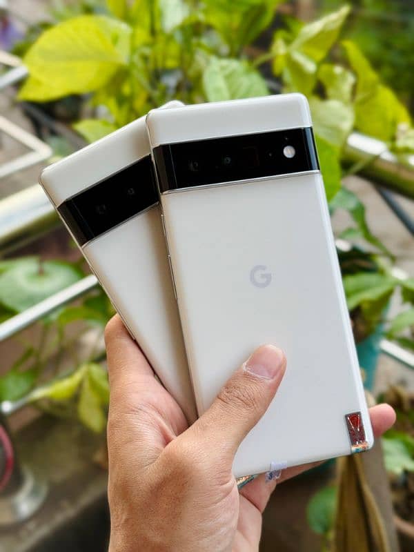 Google Pixel 6 pro 0