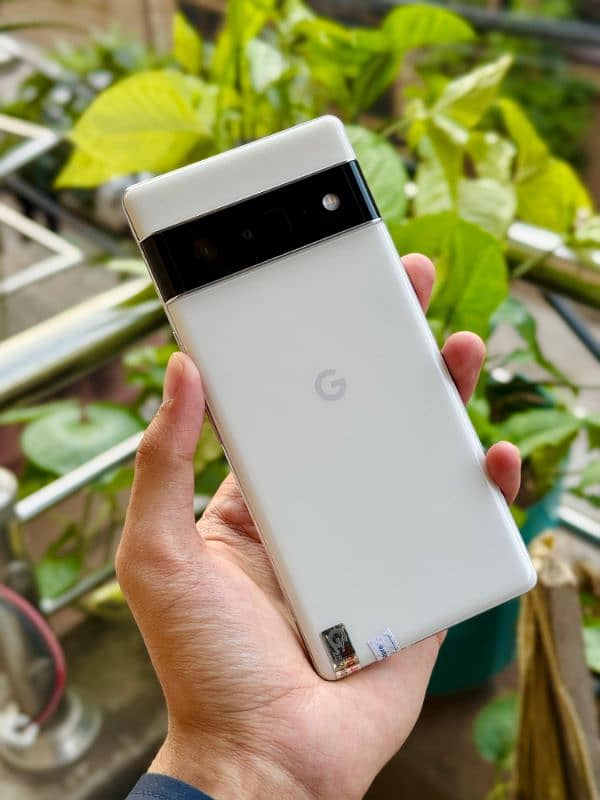 Google Pixel 6 pro 1