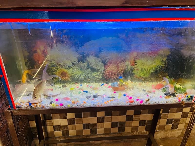 Full Aquarium with stand and fishes for sale 0