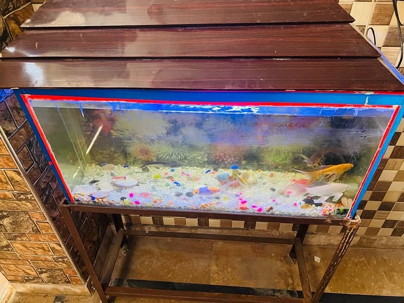 Full Aquarium with stand and fishes for sale 1
