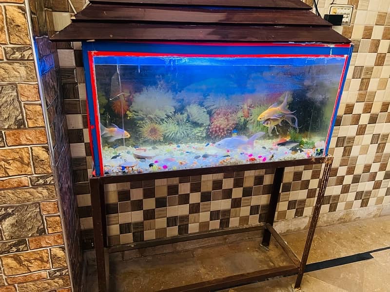 Full Aquarium with stand and fishes for sale 2