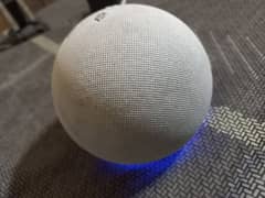 Alexa