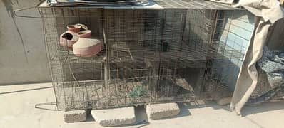 cages