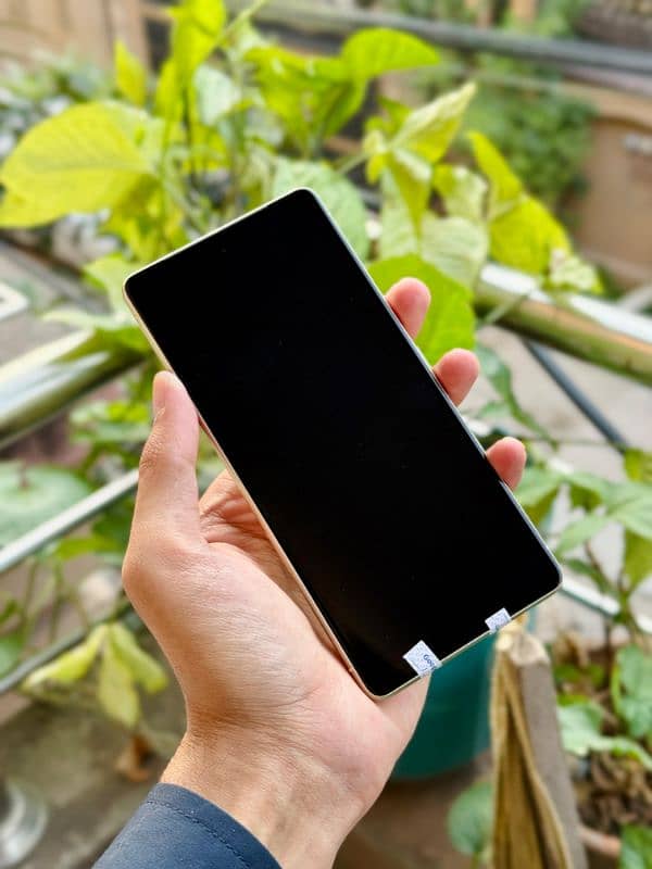 Google Pixel 7 (256) 1