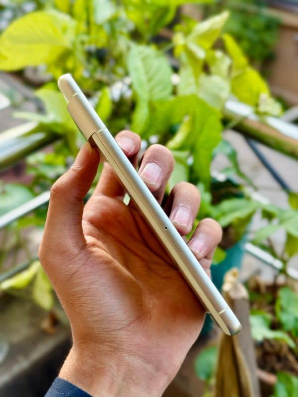 Google Pixel 7 (256) 2