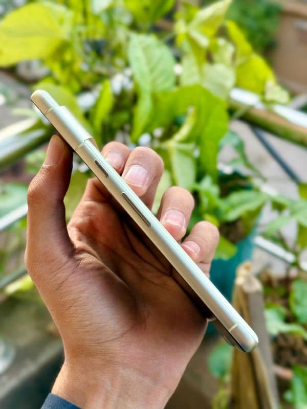 Google Pixel 7 (256) 3