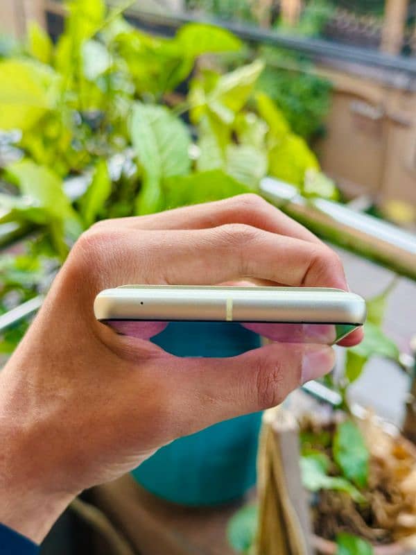 Google Pixel 7 (256) 4