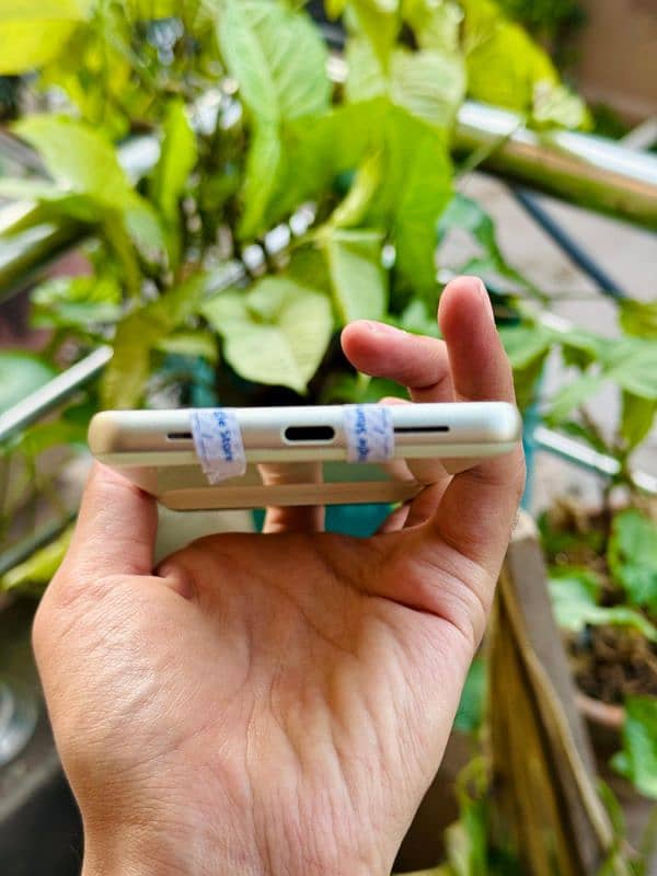 Google Pixel 7 (256) 5