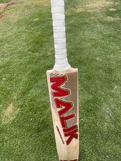 Hard ball cricket bat