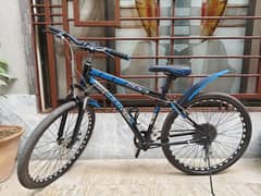 Sportive Beast Bicycle – Excellent Condition, Ready to Ride!